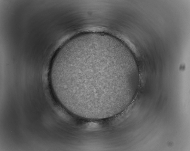 X0000102460159200808221627