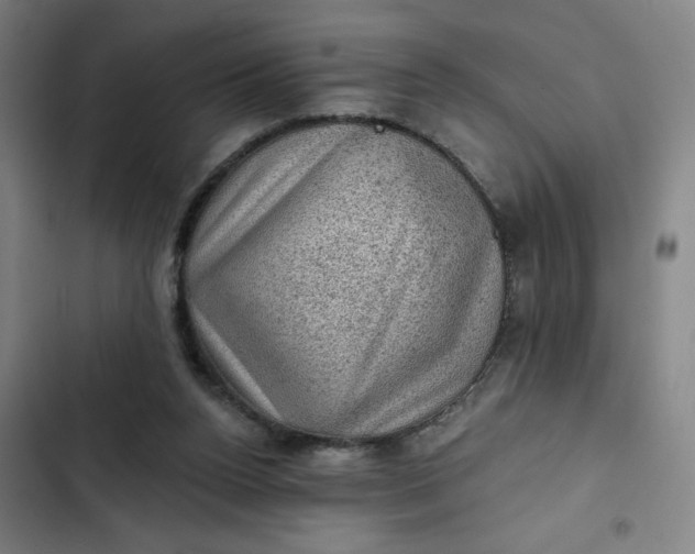 X0000102460160200808221627