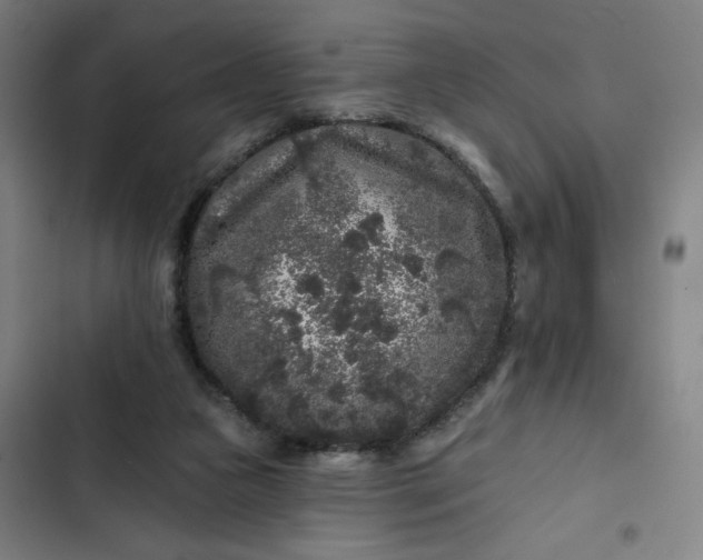 X0000102460161200808221627