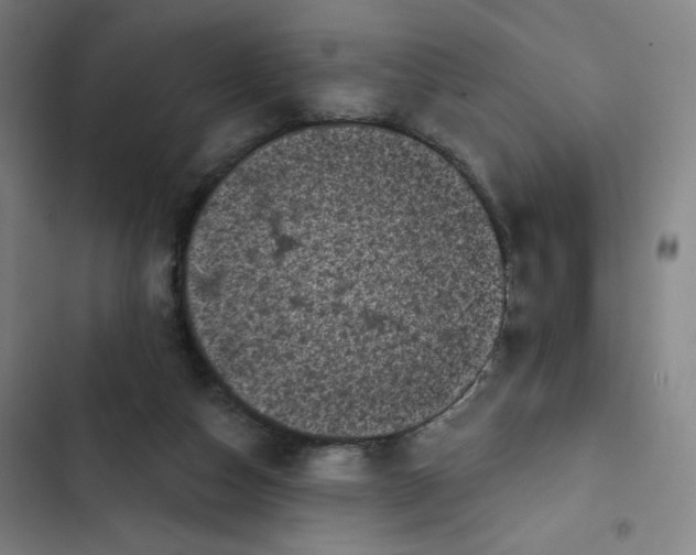 X0000102460162200808221627