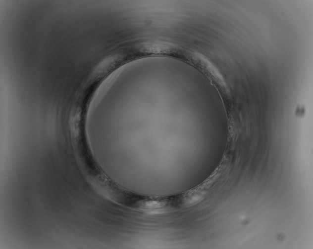 X0000102460163200808221628