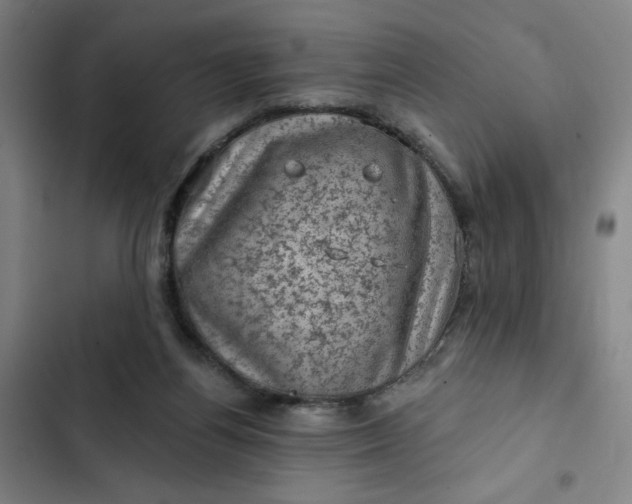 X0000102460164200808221628