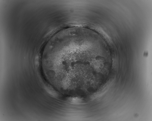 X0000102460165200808221628