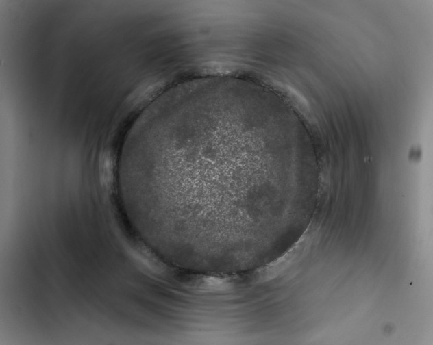 X0000102460166200808221628