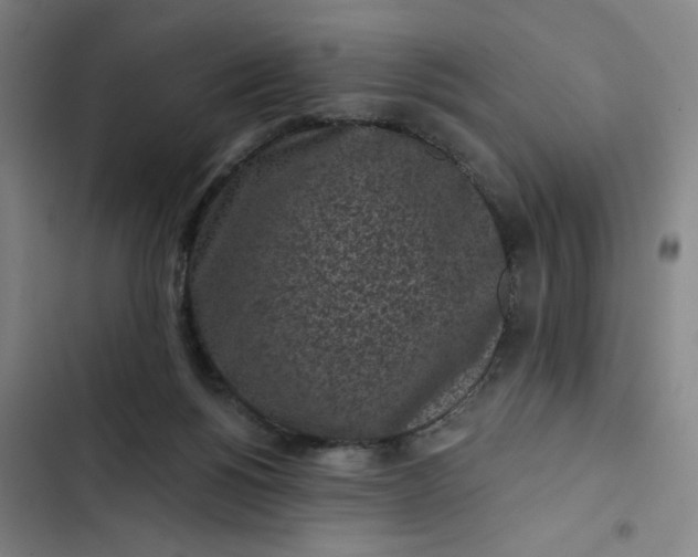 X0000102460168200808221628