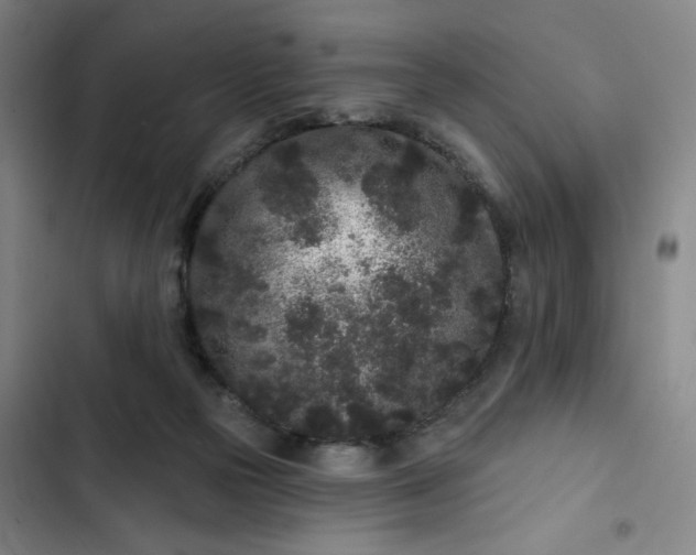 X0000102460169200808221628