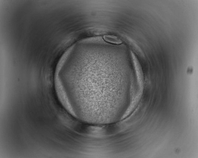 X0000102460170200808221628