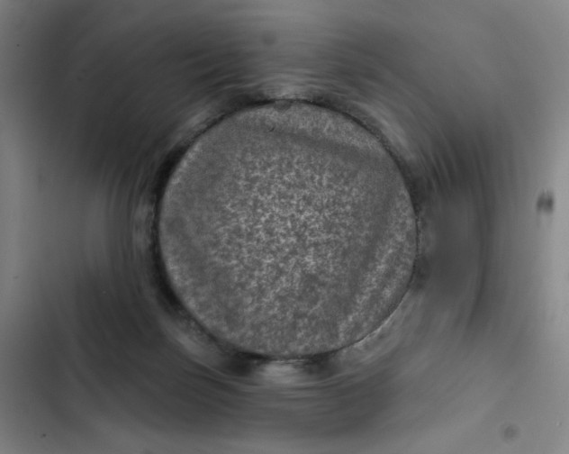 X0000102460171200808221628