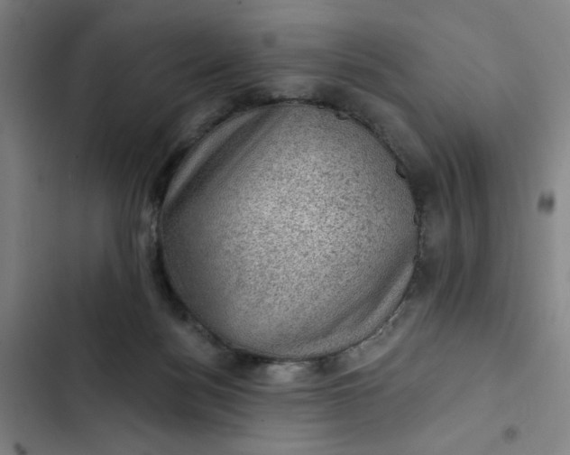 X0000102460172200808221628