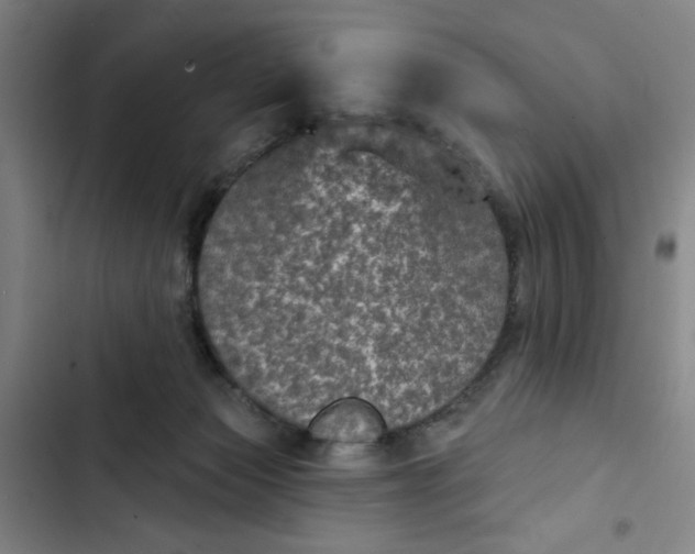 X0000102460173200808221628