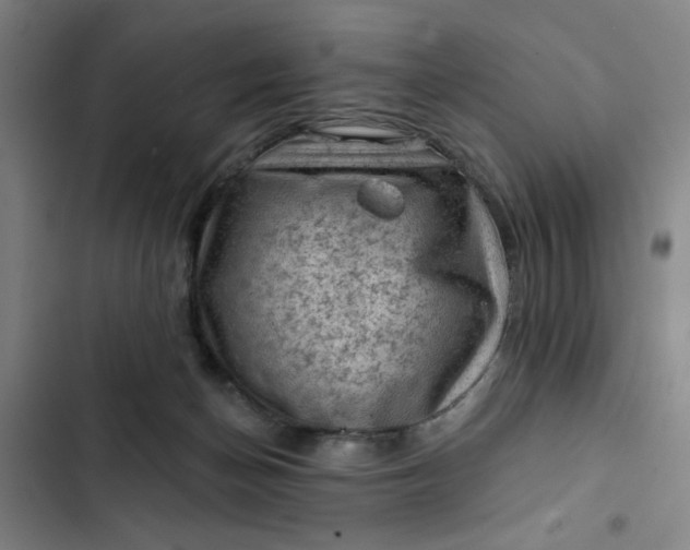 X0000102460174200808221628