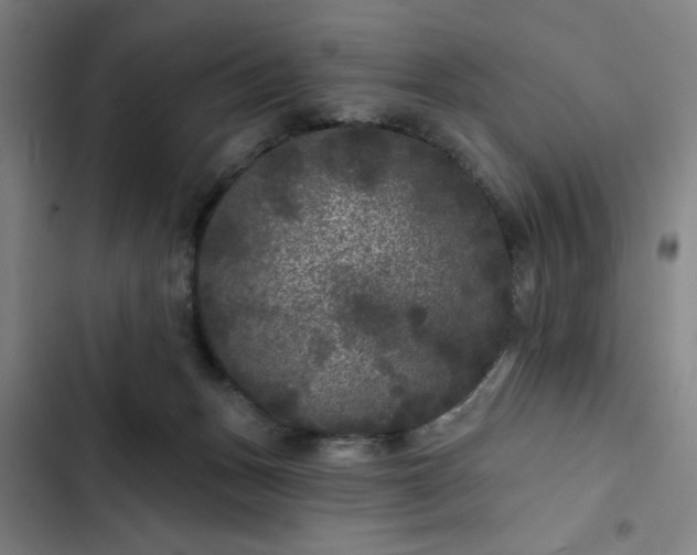 X0000102460175200808221628