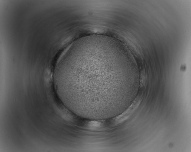 X0000102460176200808221628