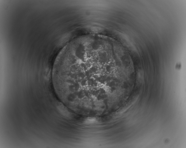 X0000102460177200808221628