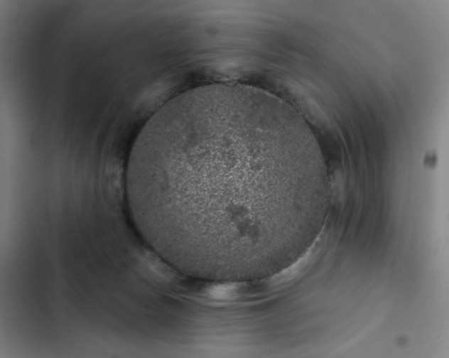 X0000102460178200808221628