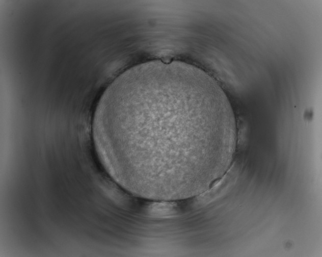 X0000102460179200808221628