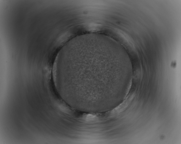 X0000102460180200808221628