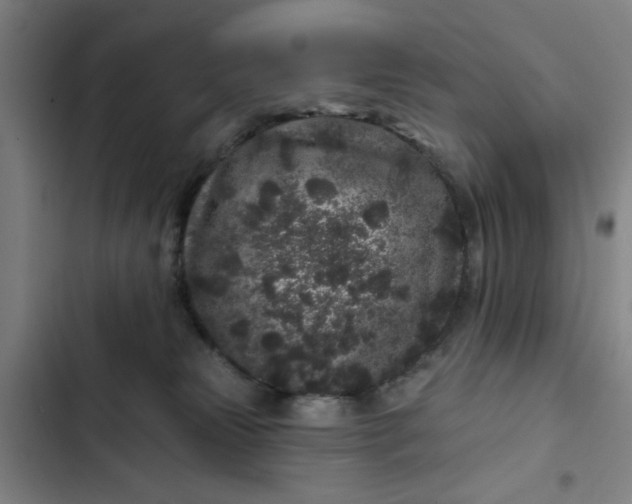 X0000102460181200808221628