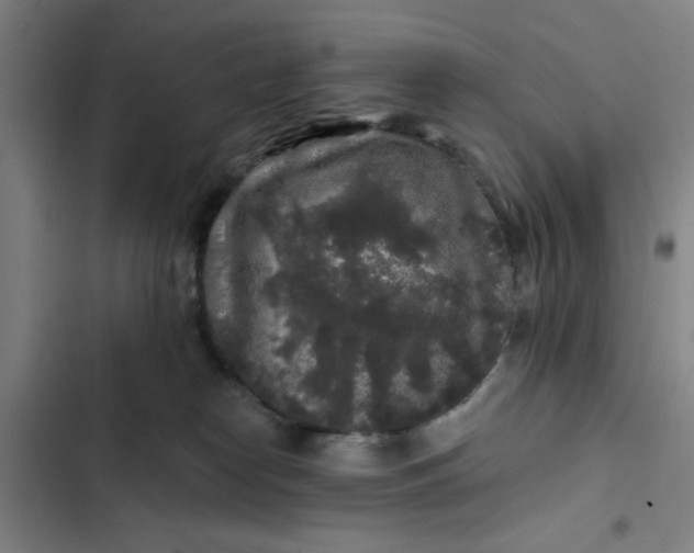 X0000102460182200808221628