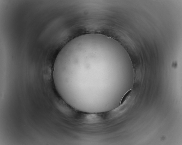 X0000102460183200808221628