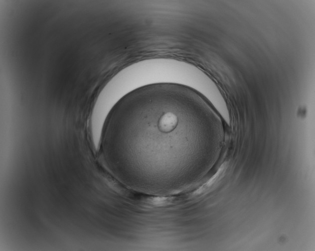 X0000102460184200808221628