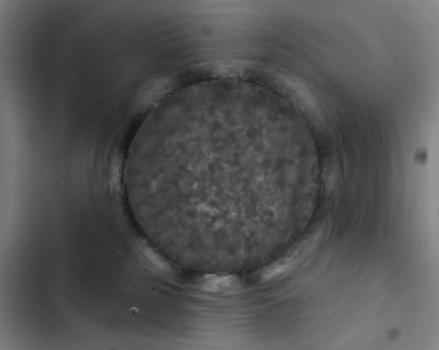 X0000102460185200808221628