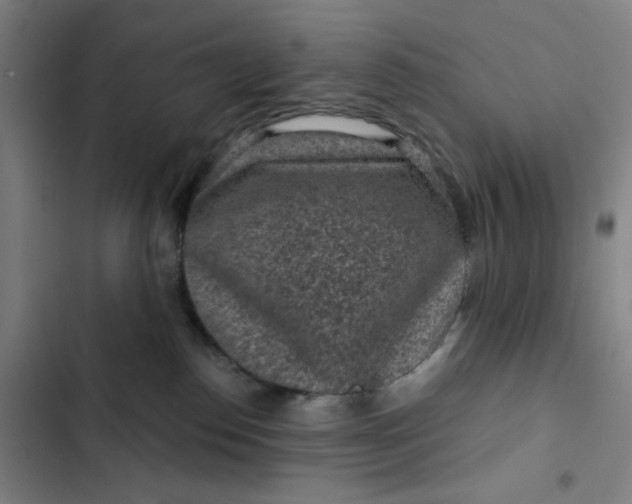 X0000102460186200808221628