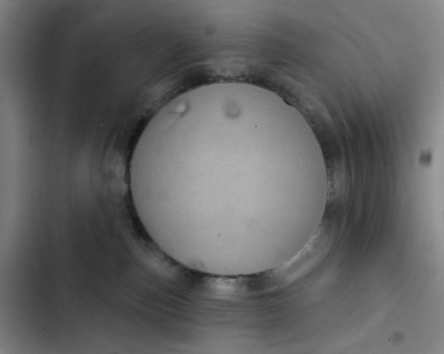 X0000102460187200808221628