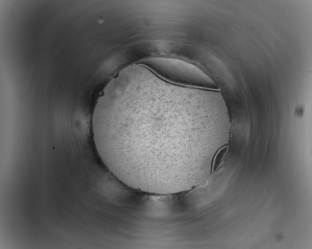 X0000102460188200808221628