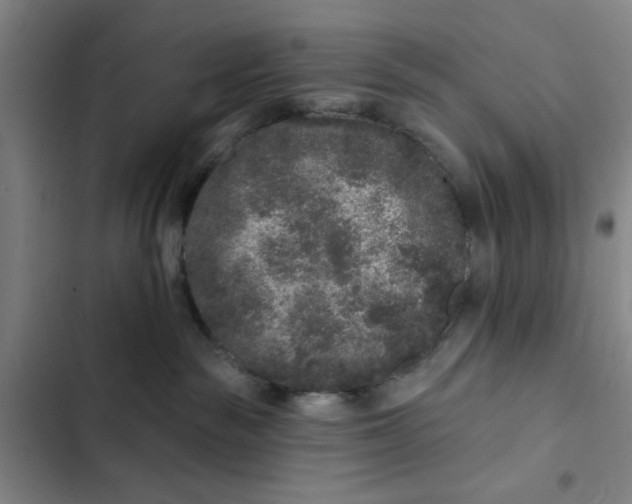 X0000102460189200808221628