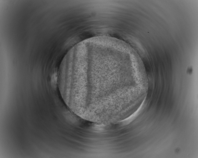 X0000102460190200808221628