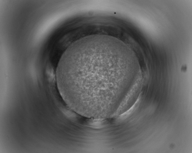 X0000102460191200808221628