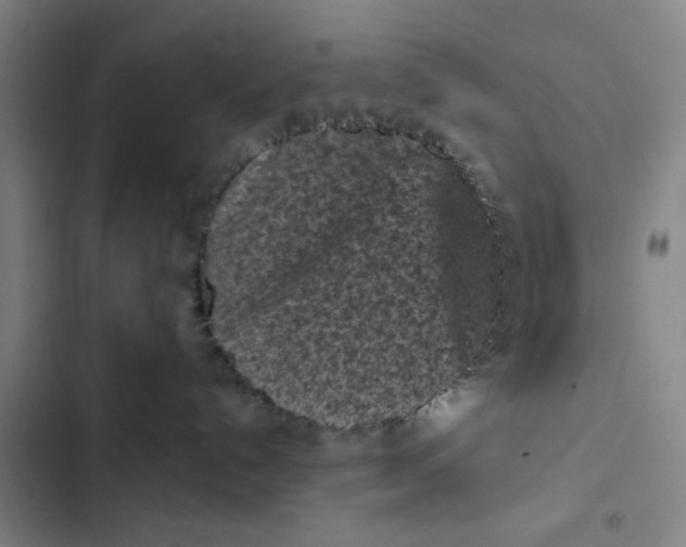 X0000102460192200808221628