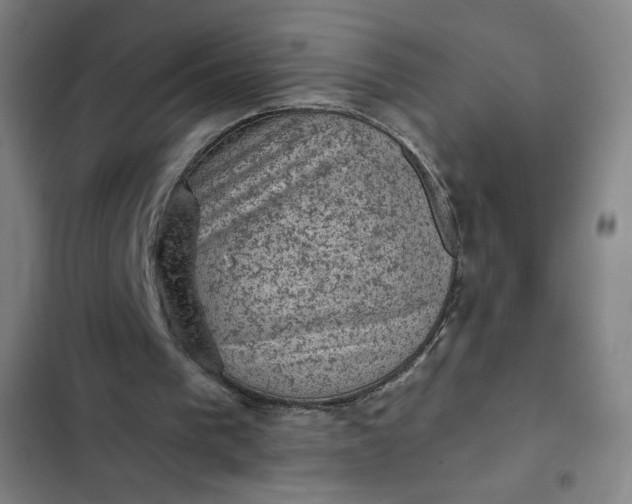 X0000102460193200808221627