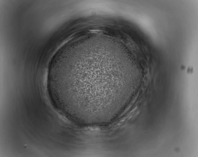 X0000102460194200808221627