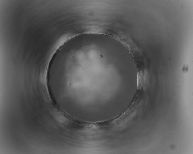 X0000102460195200808221627