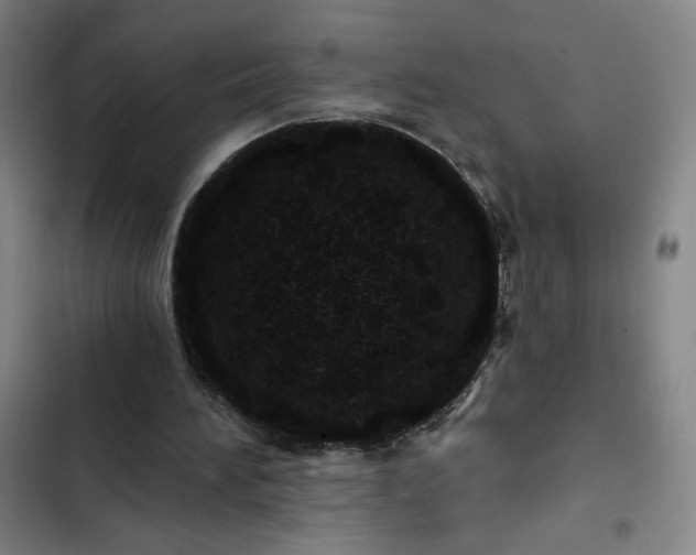 X0000102460196200808221627