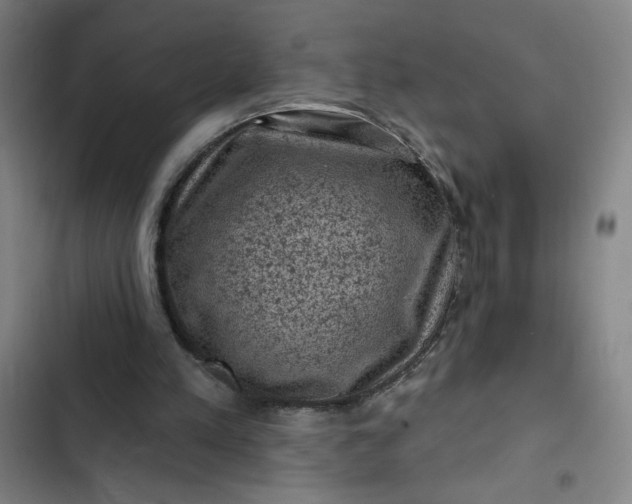 X0000102460197200808221627