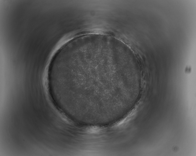 X0000102460198200808221627