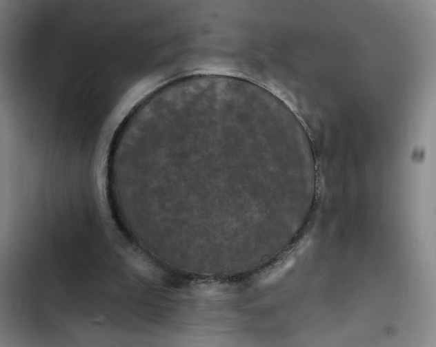 X0000102460199200808221627