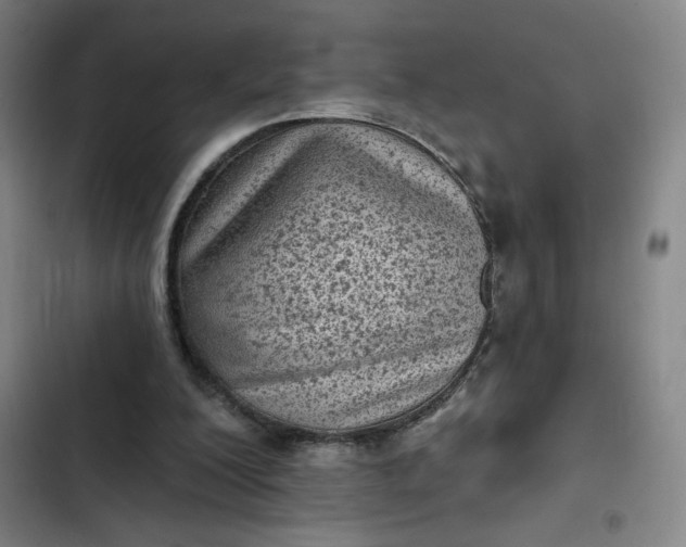 X0000102460200200808221627