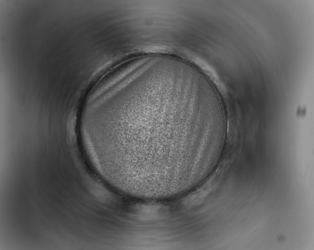 X0000102460201200808221627