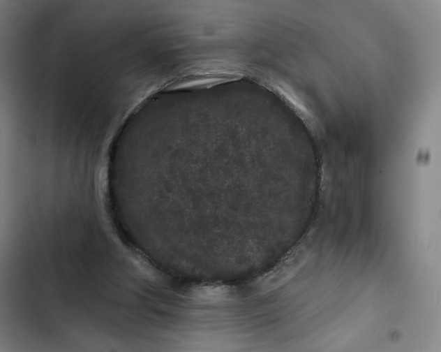 X0000102460202200808221627