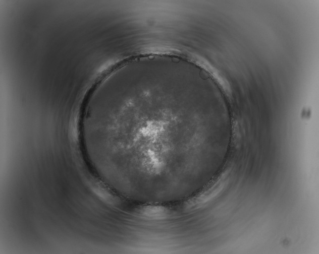 X0000102460203200808221627