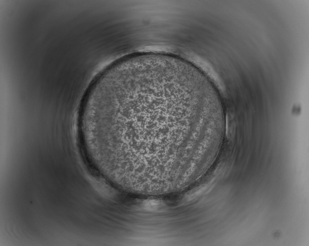 X0000102460204200808221627