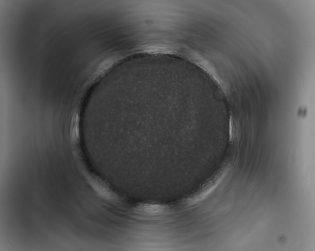 X0000102460205200808221627