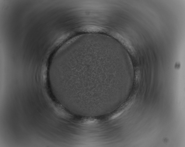 X0000102460206200808221627