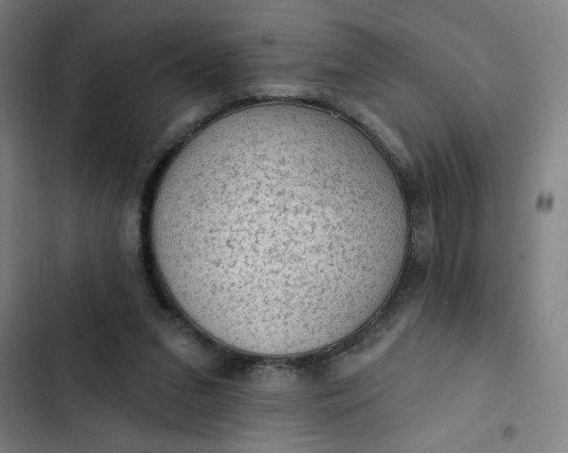 X0000102460207200808221627