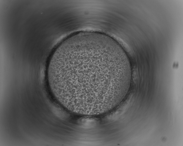 X0000102460208200808221627