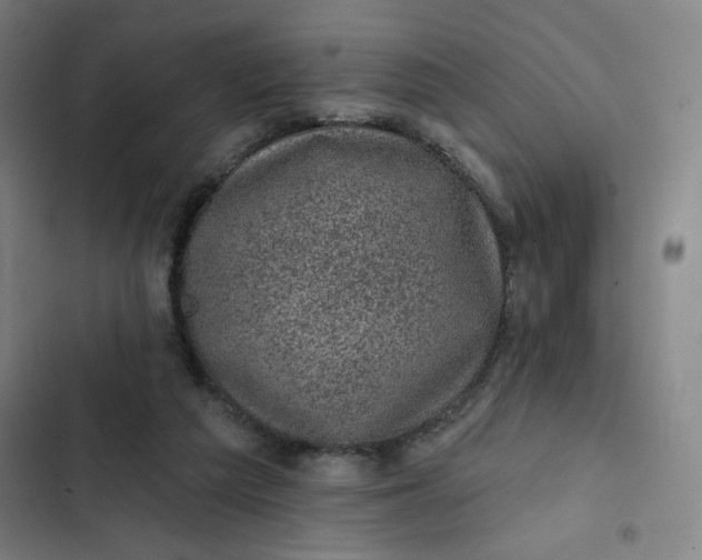 X0000102460209200808221627